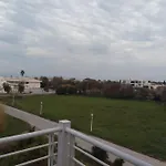 Sofita Di Sofo *